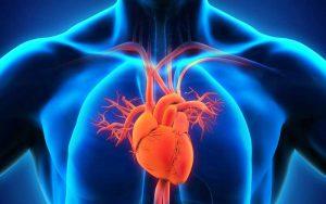 Medicom Renal & Dialysis Centre - Cardiology