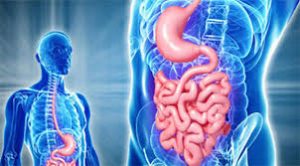 Gastroenterology