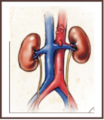 Medicom Renal & Dialysis Centre
